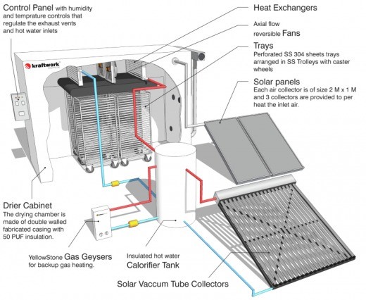 Fruit Or Vegetable Drying System